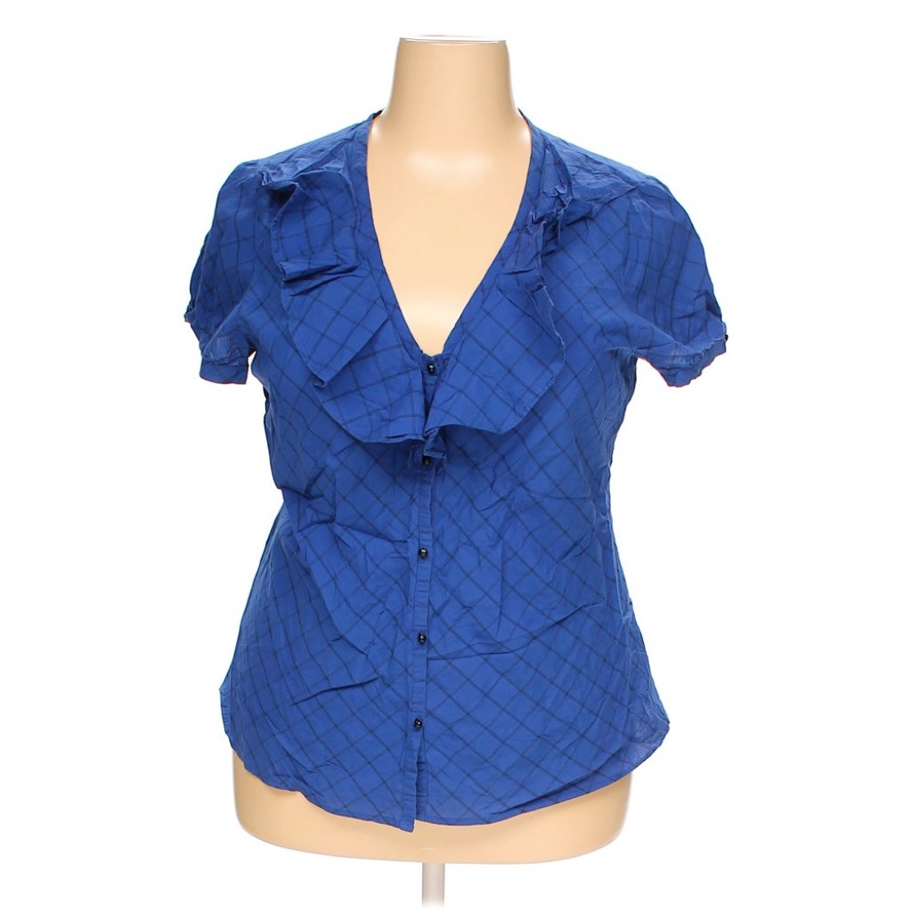 Gap Button-Down Blouse (Blue)